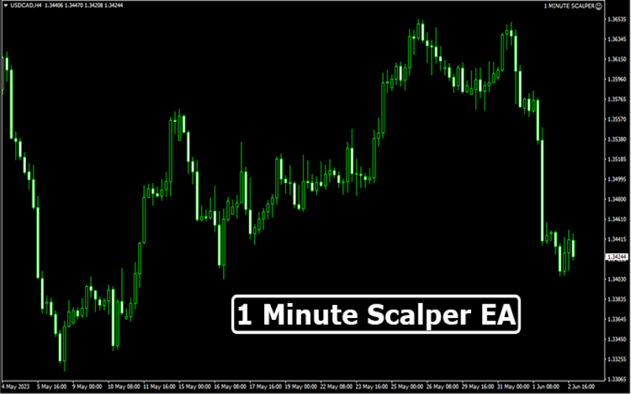 1 Minute Scalper EA MT4